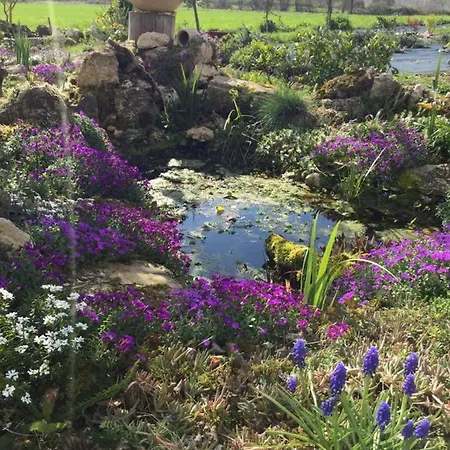 D'hote L'amazone Bed & Breakfast Caumont (Tarn-et-Garonne)