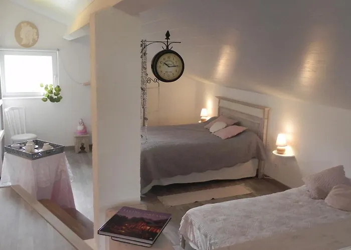 Bed & Breakfast D'hote L'amazone *