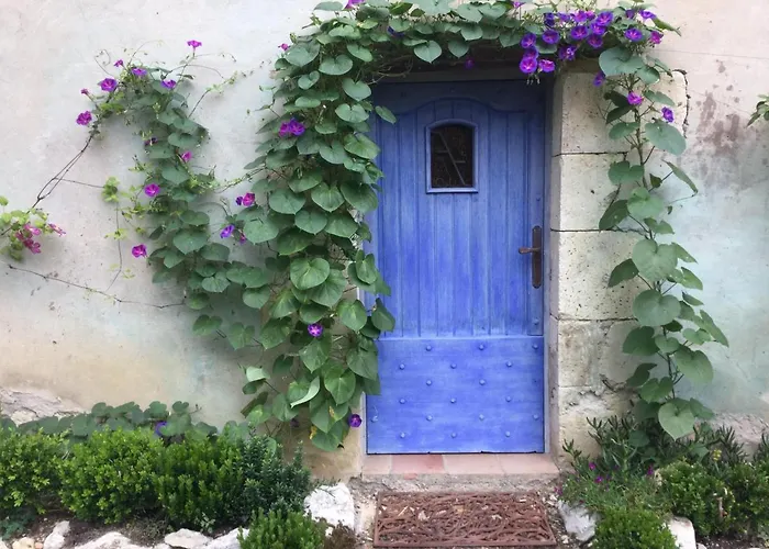 Bed & Breakfast D'hote L'amazone *