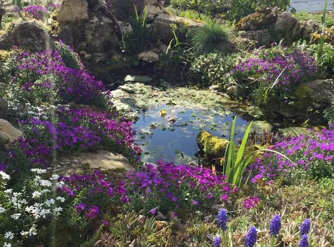 D'hote L'amazone Bed & Breakfast Caumont (Tarn-et-Garonne)